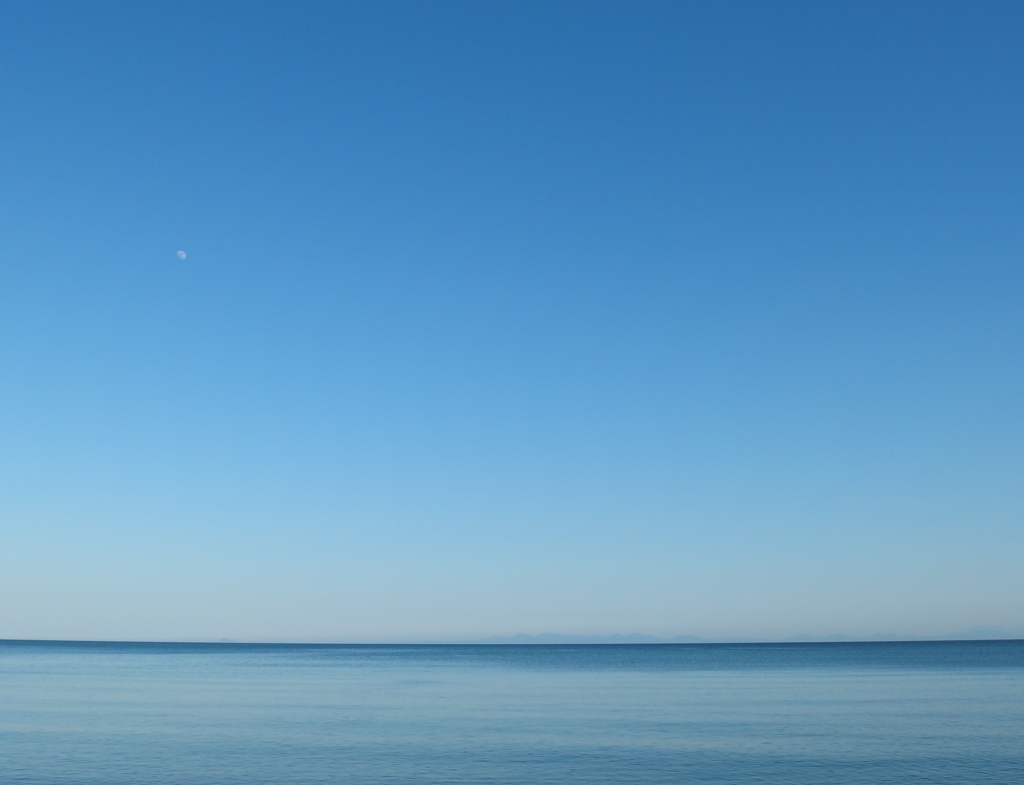 Blue ＆ Blue