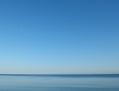Blue ＆ Blue