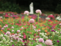 ヴィーナスの両手に花