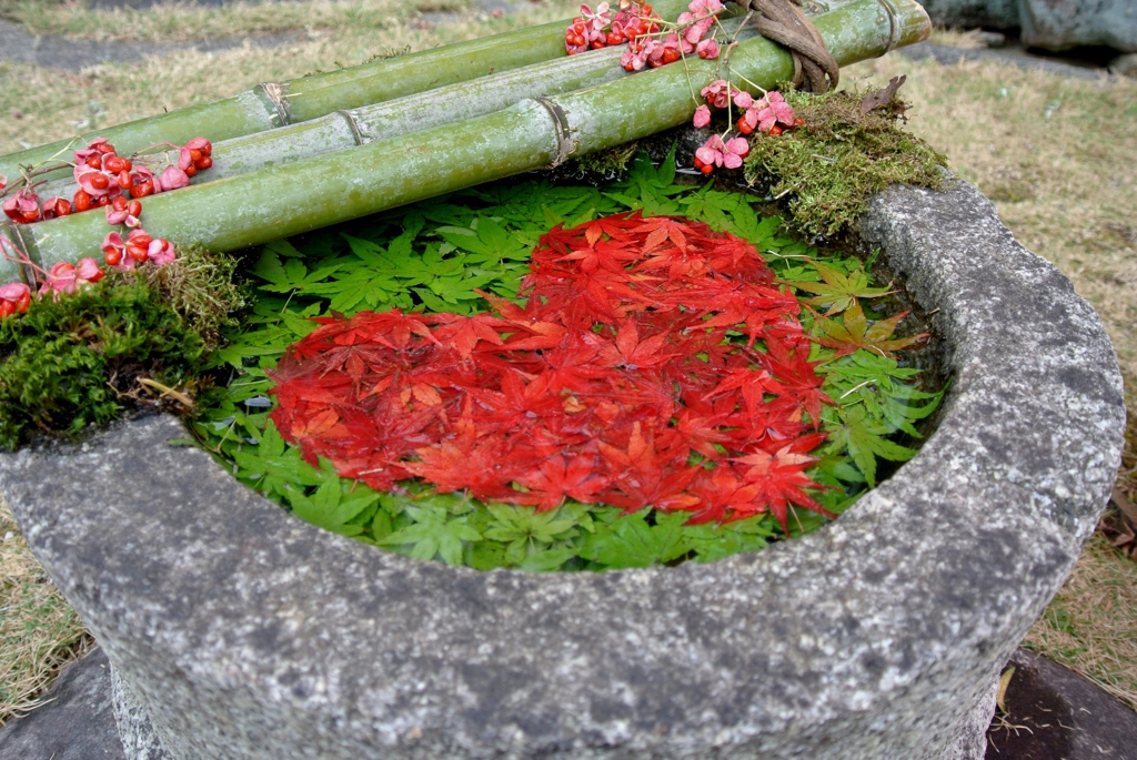 素敵な演出：山崎八幡宮