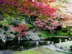 宗隣寺