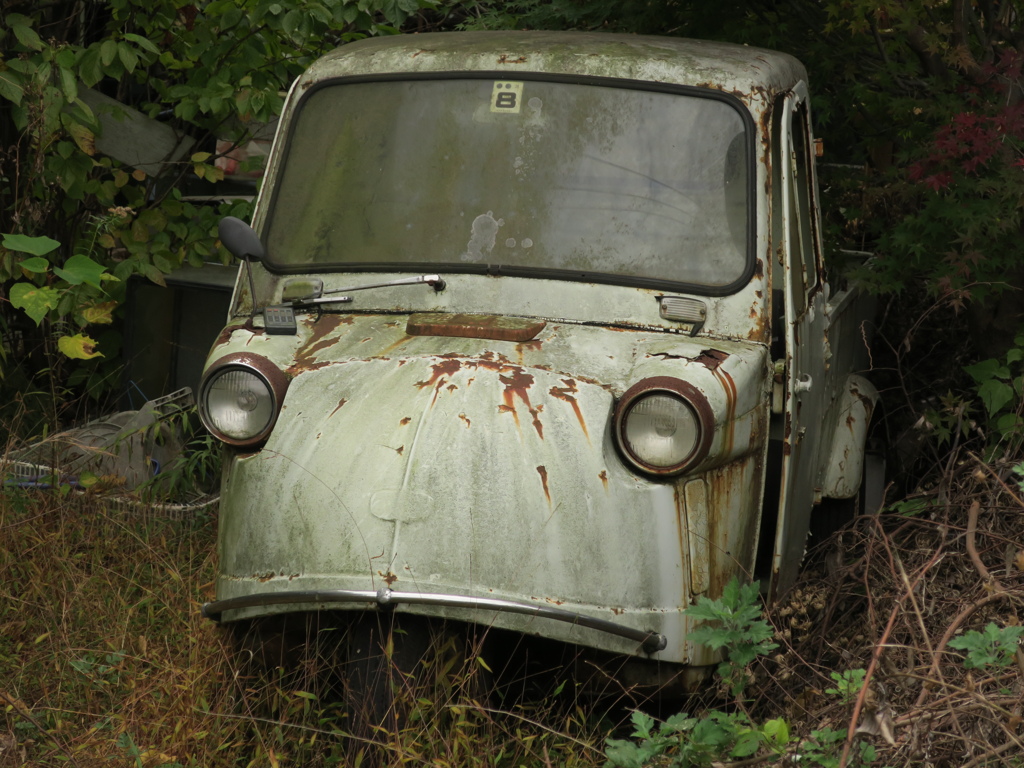 散策中で見つけた草むらのヒーロー