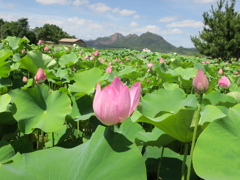 閉じてる