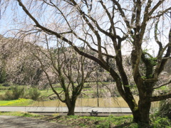 バイクで出かけてきました