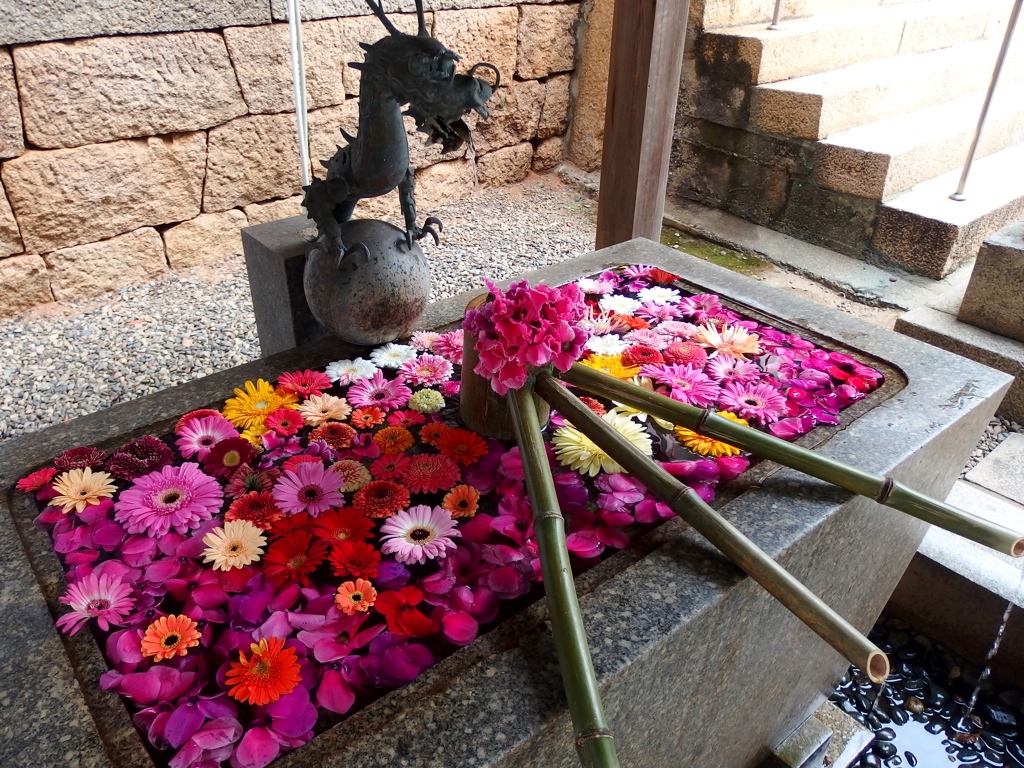 安定の山崎八幡宮手水美しい