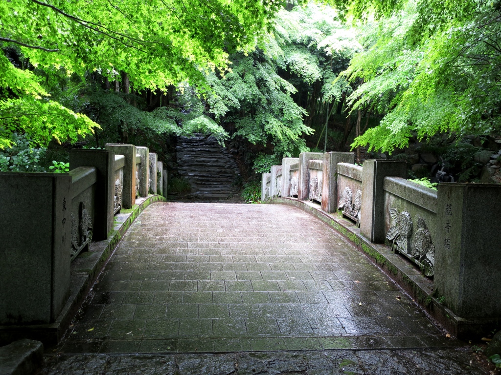 雨の阿弥陀寺