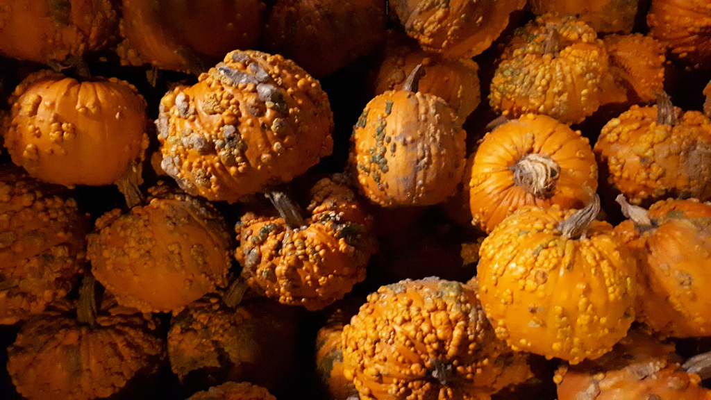 62587674256181031G+00271