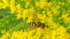 62587674256180902G+00260