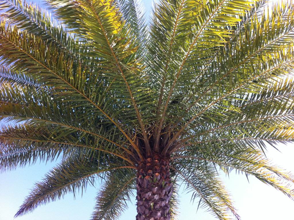 62587674256170219G+00042