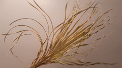 62587674256180325G+00222