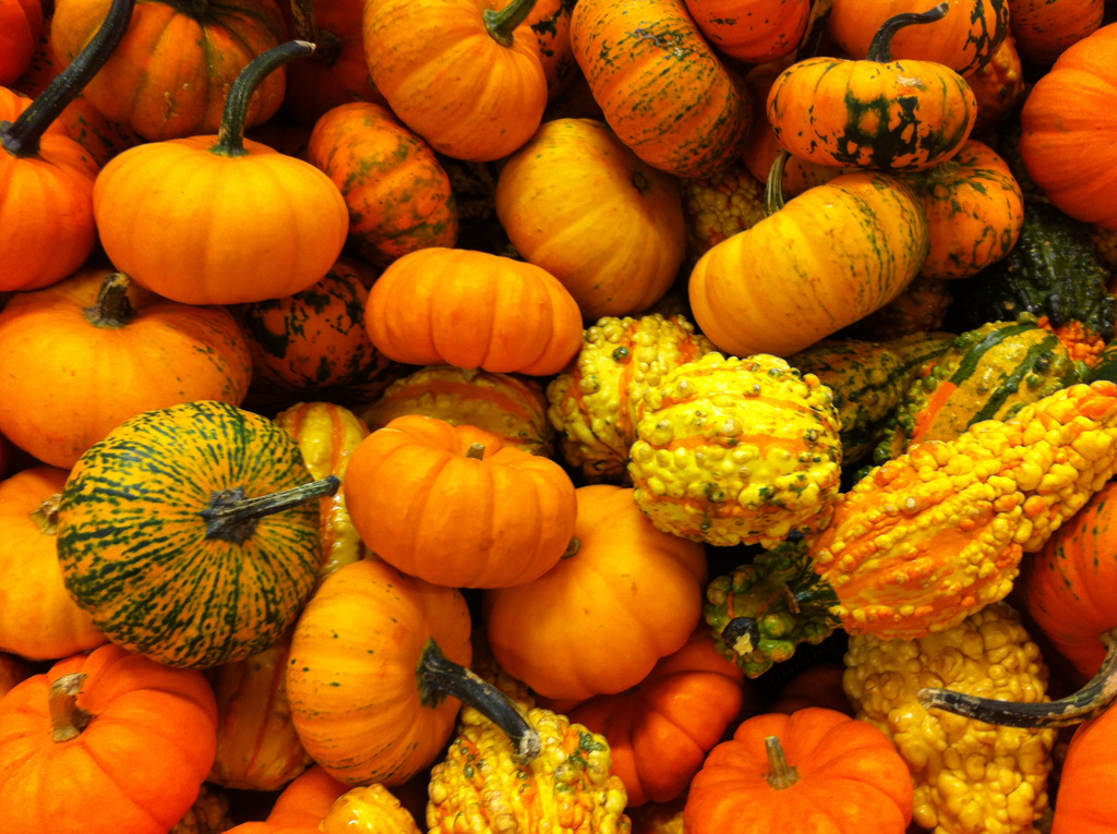 62587674256171029G+00196