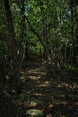 FOV
