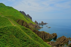 大野亀