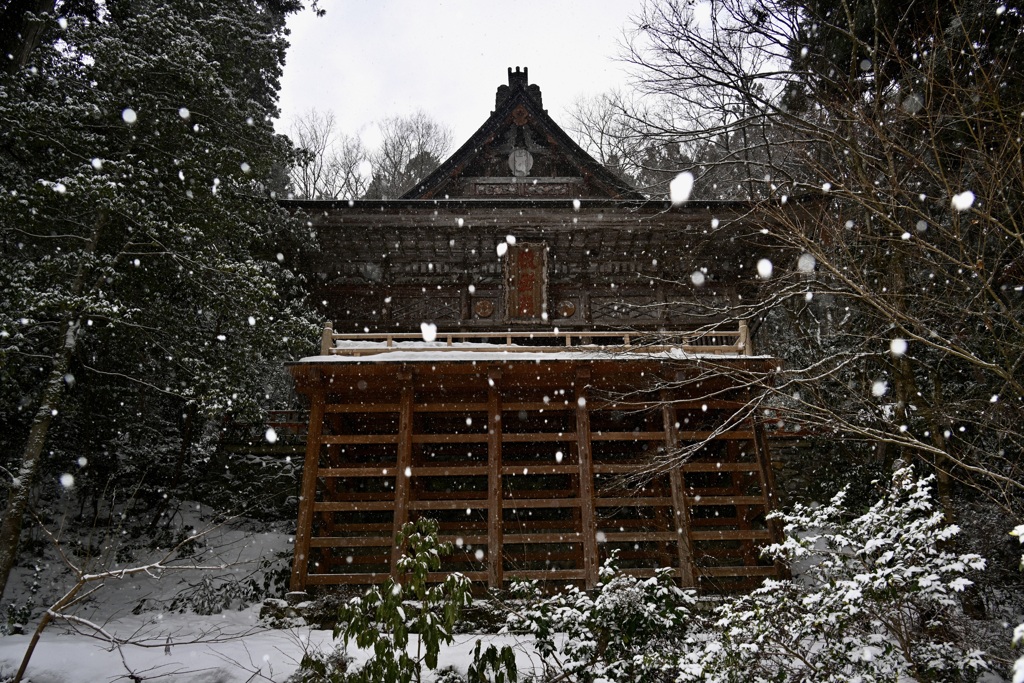 雪の清水寺