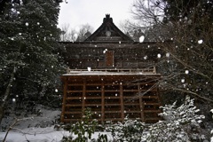 雪の清水寺