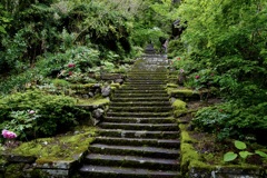 長谷寺