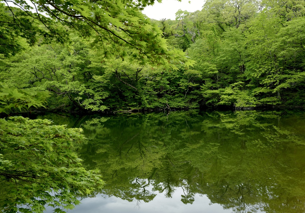 杉池公園