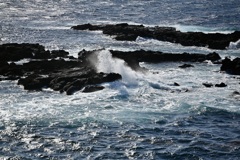 佐渡の海