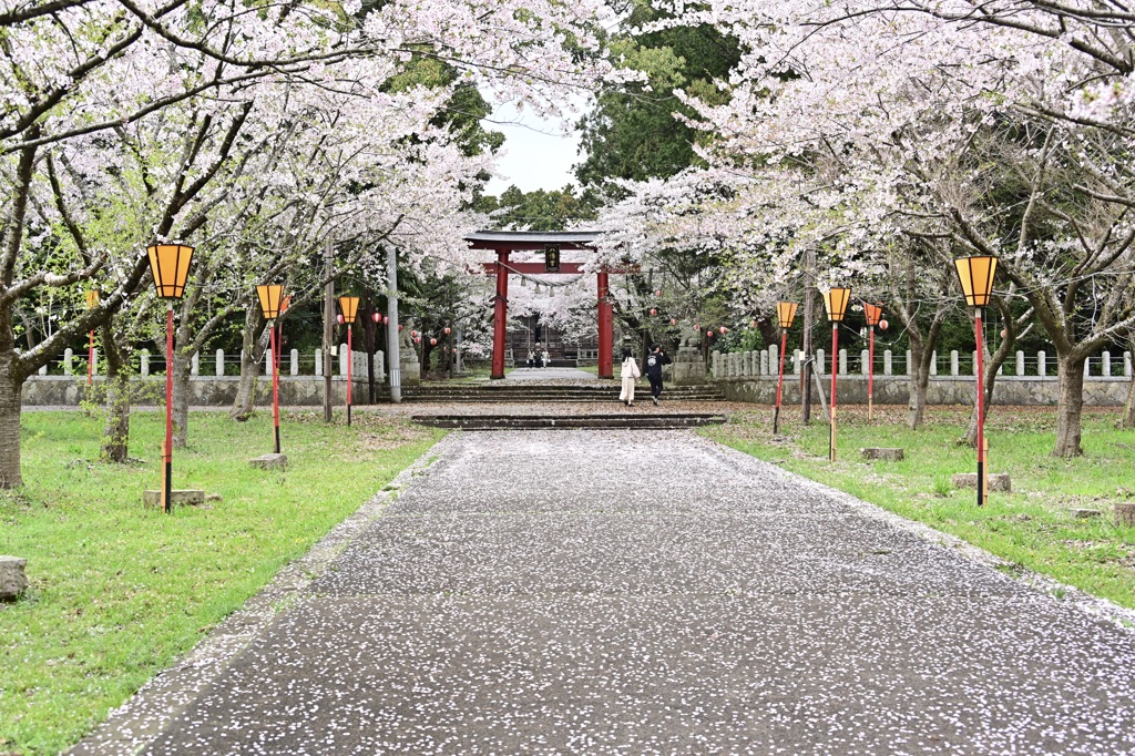 佐渡八幡宮