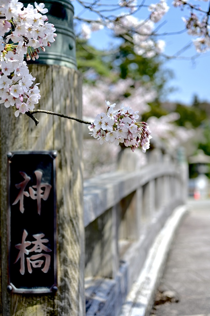 真野公園