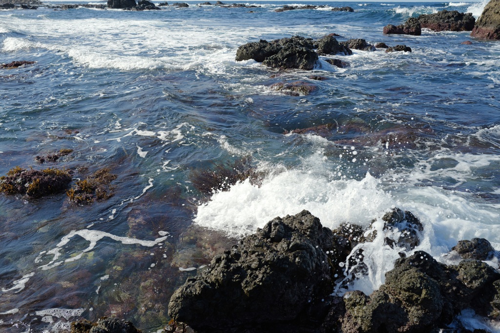 海