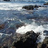 海