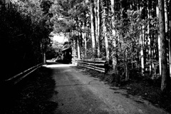 道