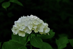 すっきり