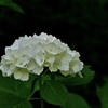 すっきり