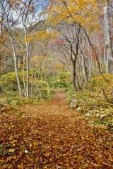紅葉山公園