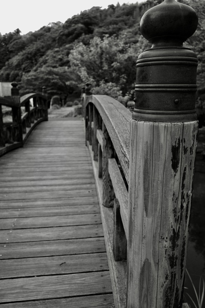 橋