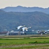 連なって飛ぶ