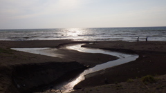海