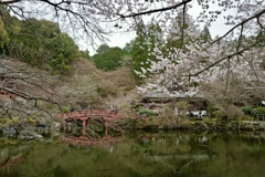 醍醐寺