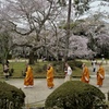 醍醐寺