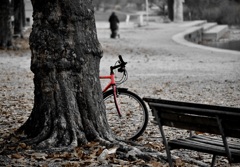 自転車