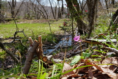 ゆずろう公園