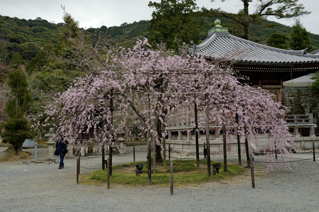 清水寺