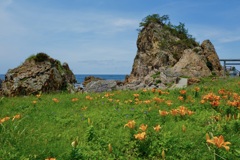 北片辺地区藻浦崎　