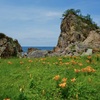 北片辺地区藻浦崎　