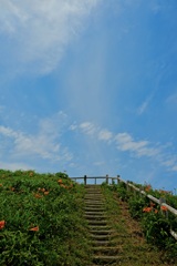 天空への階段