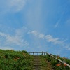 天空への階段