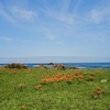 北片辺地区藻浦崎　