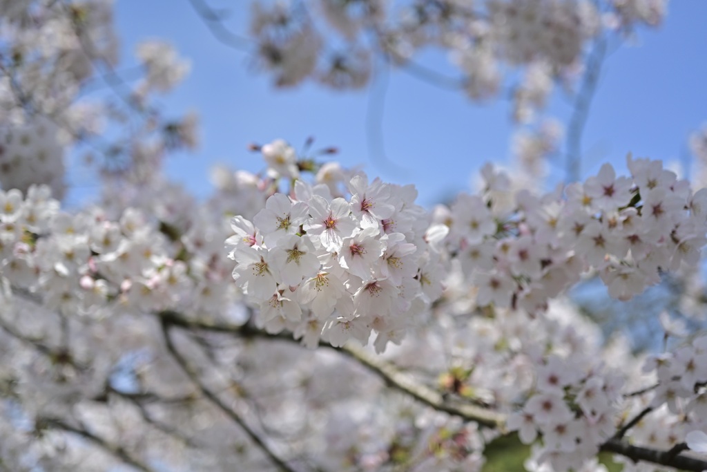 真野公園