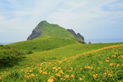 大野亀