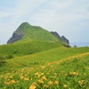 大野亀