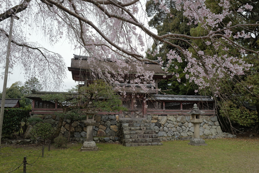 醍醐寺