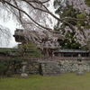 醍醐寺