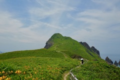 大野亀