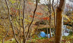 紅葉山公園